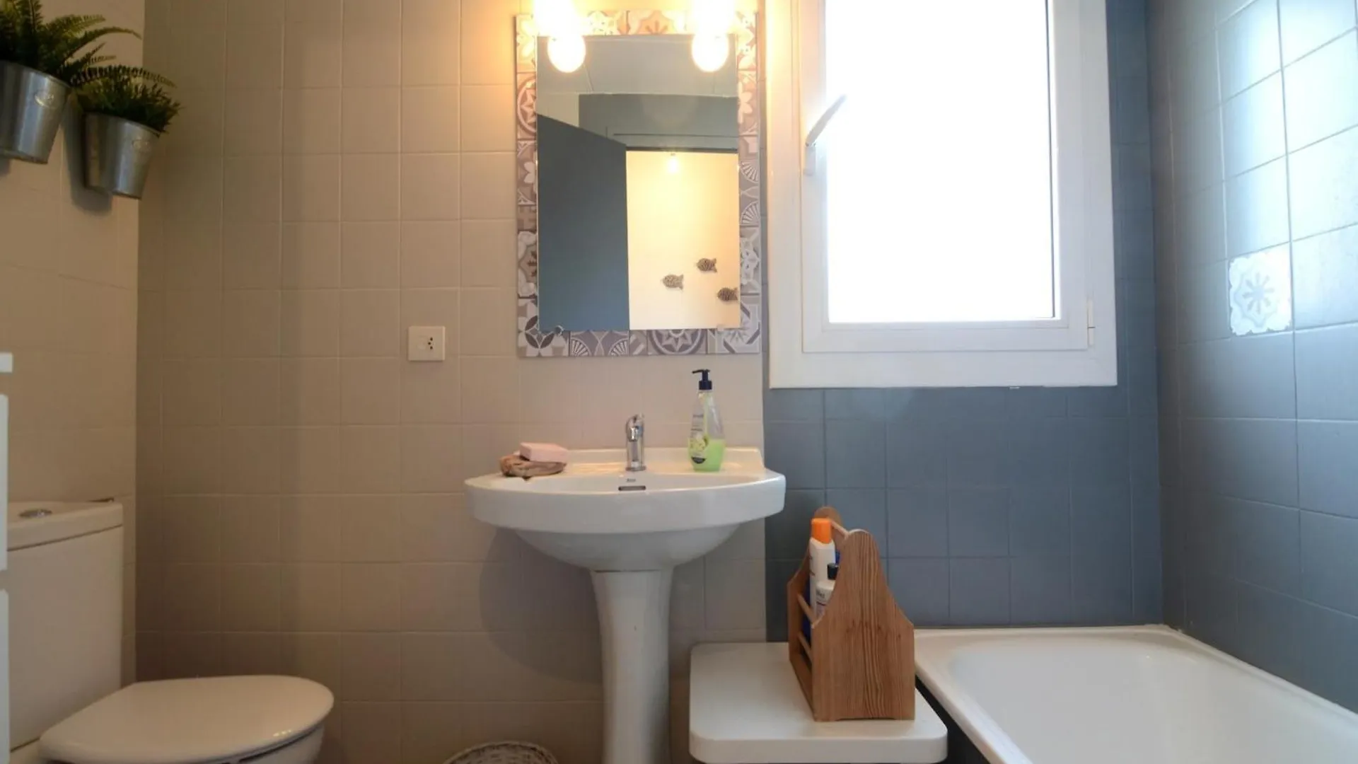 Migjorn Muntanya Apartment L'Estartit Spain